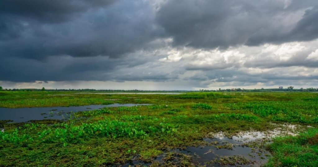 UP Weather Alert